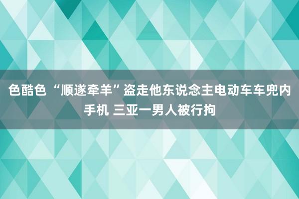 色酷色 “顺遂牵羊”盗走他东说念主电动车车兜内手机 三亚一男人被行拘