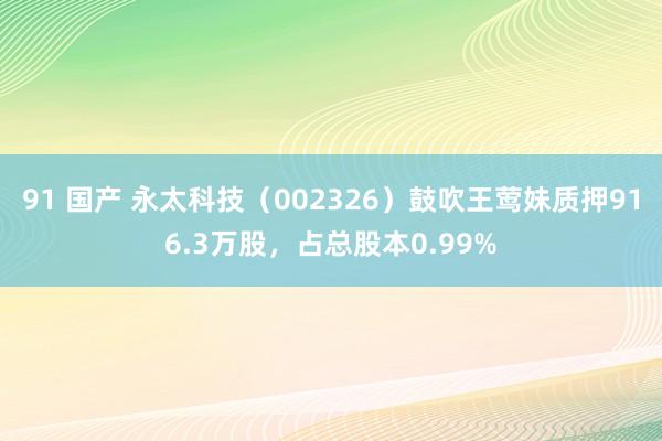 91 国产 永太科技（002326）鼓吹王莺妹质押916.3万股，占总股本0.99%