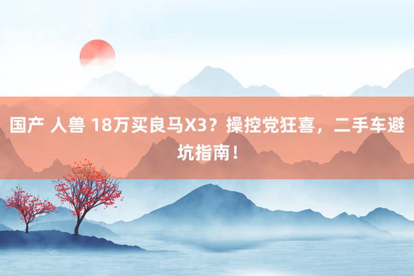 国产 人兽 18万买良马X3？操控党狂喜，二手车避坑指南！