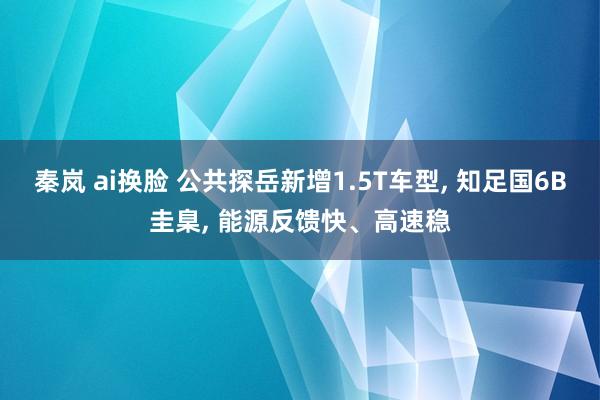 秦岚 ai换脸 公共探岳新增1.5T车型， 知足国6B圭臬， 能源反馈快、高速稳
