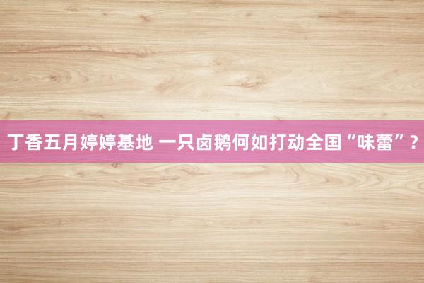 丁香五月婷婷基地 一只卤鹅何如打动全国“味蕾”？