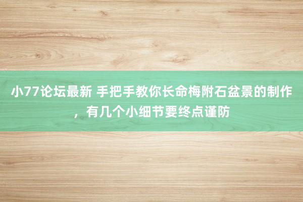 小77论坛最新 手把手教你长命梅附石盆景的制作，有几个小细节要终点谨防